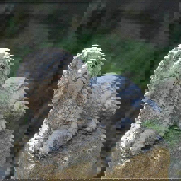 Stone Cast Small Laying King Charles Spaniel Ornament