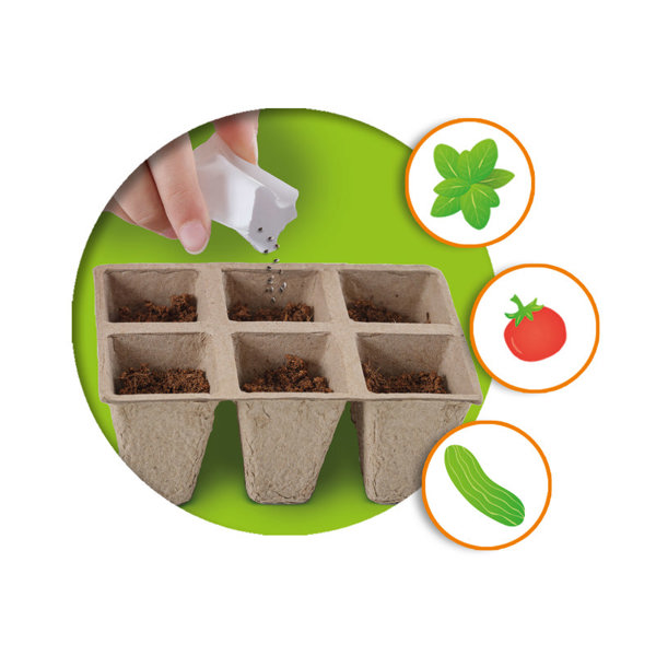 SES Creative Greenhouse veggies