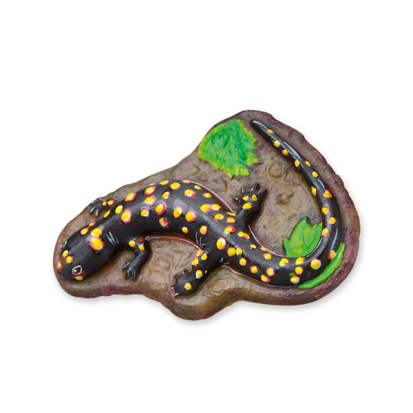 SES Creative Casting and painting - Scary animals