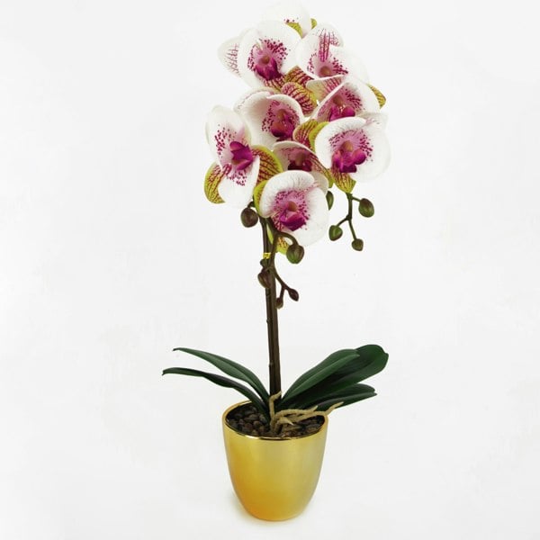 Leaf 48cm Harlequin Orchid Artificial  - Pink with Gold Pot