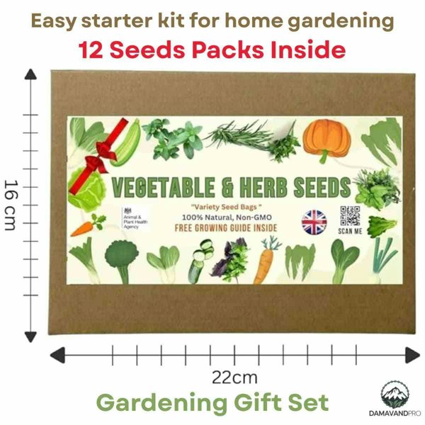 Vegetable and herb seed box planting kit – indoor or outdoor garden starter set