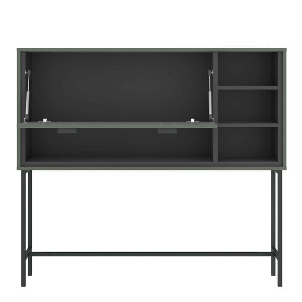 Wyld Haus Elowynd Olive Green Panelled Bar Cabinet 1 Door 2 Shelves