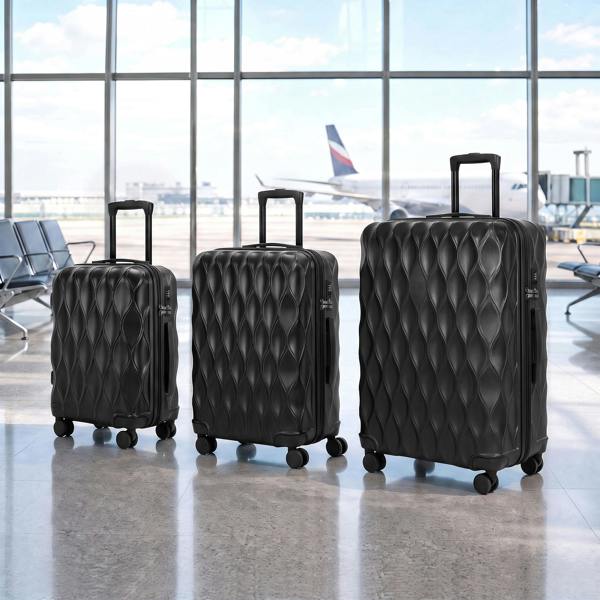 Luggage Set