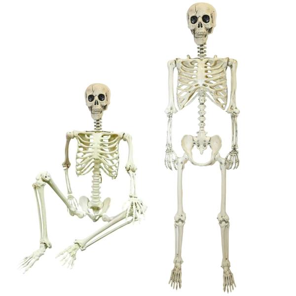 Halloween Life Size Poseable Skeleton Prop 165cm - Realistic Human Skeleton Decoration image 10