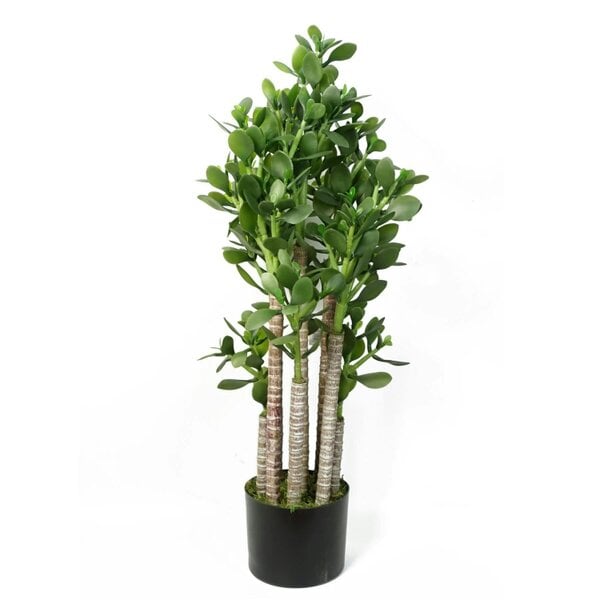 Dyzi 75cm Artificial Jade Plant Deluxe Potted Faux Green House Plant