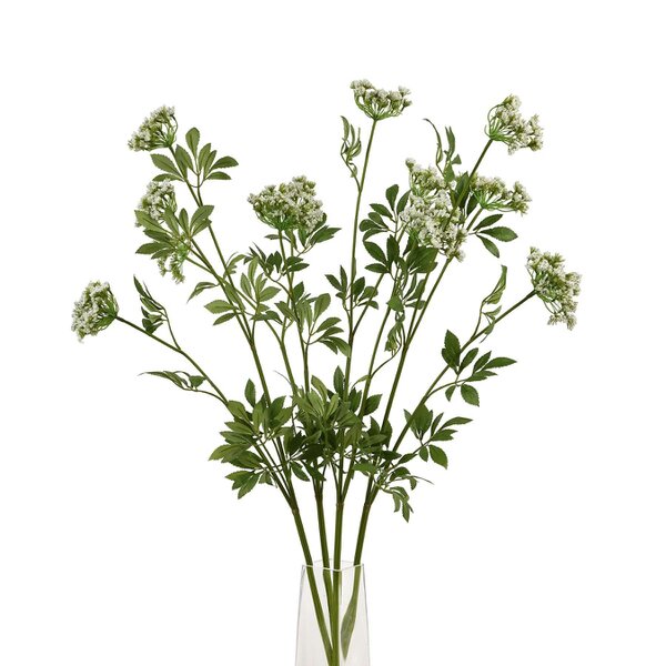 Wyld Haus Set of 3 Artificial Flowers Faux White Cow Parsley Ammi