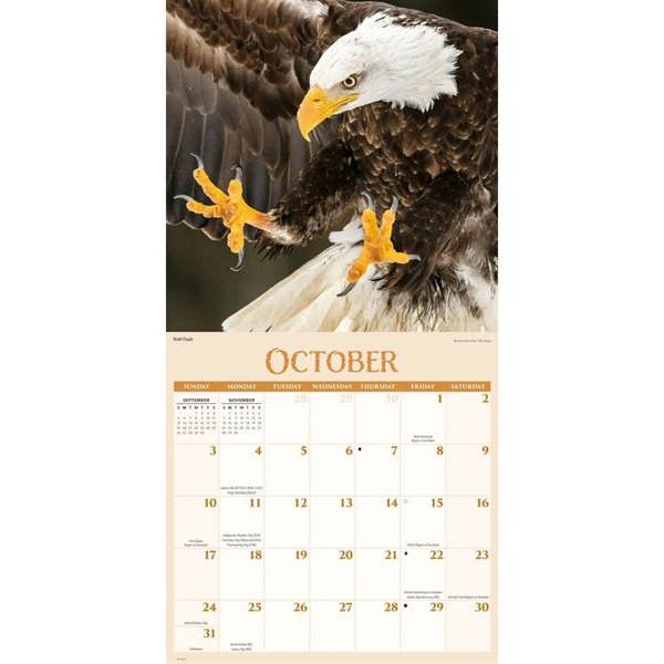 Wildlife Calendar 2027, Wall Calendars, Month To View, Animals, Gift