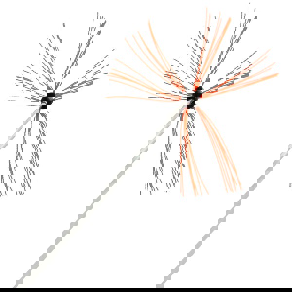 MAXBLAST Powered Chimney Sweep 11m