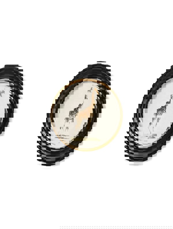 Exceptional Art c.1836 Giraffe - Round Frame