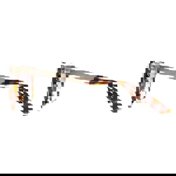 BMW Sunglasses BW0002-H 53B Blonde Havana Smoke Gradient