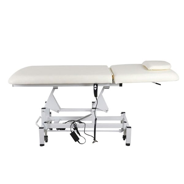 Electric Adjustable Reclining Tattoo Chair - Portable Salon Spa Bed Living and Home