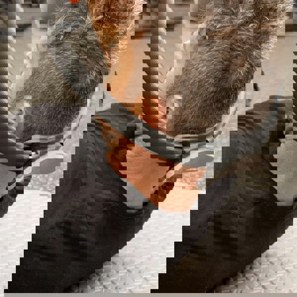 Phoenix Fitness Double Handled Pilates Ring Magic Circle