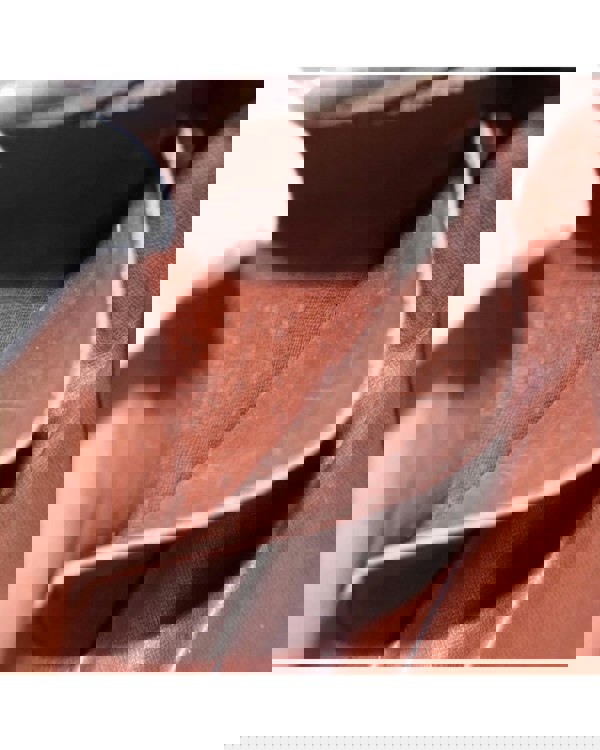 201934282.jpg