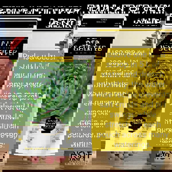 Bronte Heritage Cacti & Succulent Fertiliser – 250g water-soluble powder for indoor/outdoor plants. Promotes healthy growth & plump leaves