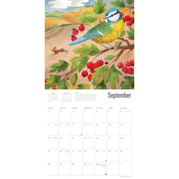 Bex Parkin Wildlife Calendar 2027, Wall Calendars, Month To View, Art, Gift