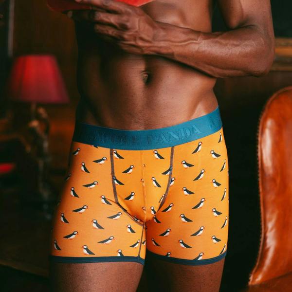 SWOLE PANDA Bamboo Boxers - Puffins