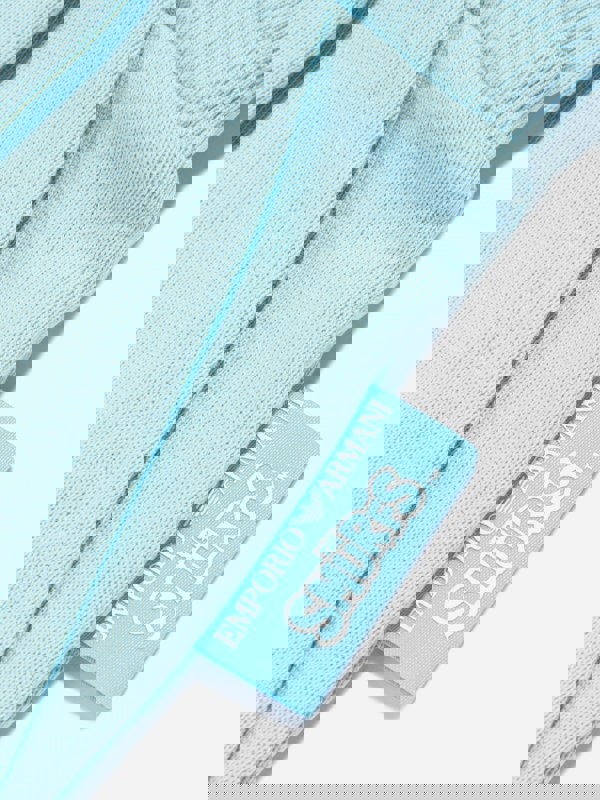 Emporio Armani Boys Smurf Logo Shorts in Blue