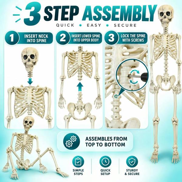 Halloween Life Size Poseable Skeleton Prop 165cm - Realistic Human Skeleton Decoration image 5