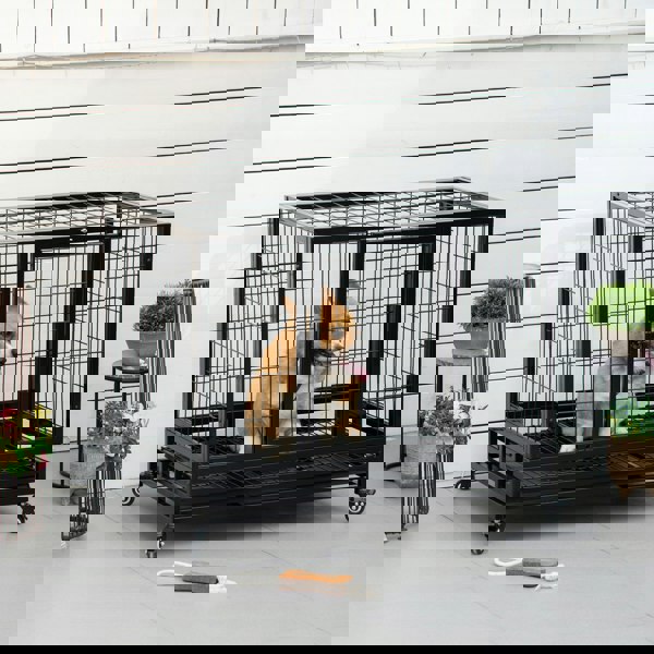 D02-020