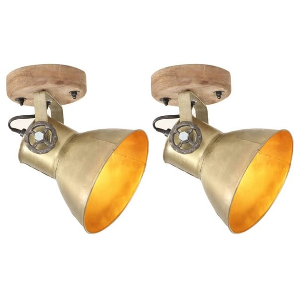Berkfield Industrial Wall/Ceiling Lamps 2 pcs Brass 20x25 cm E27