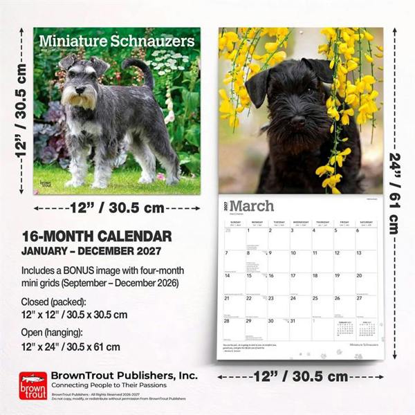 Miniature Schnauzers Calendar 2027, Wall Calendars, Month To View, Dogs, Gift