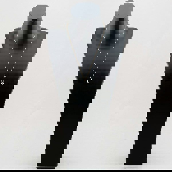 T. H. Baker 9ct Yellow Gold 1.00ct Lab Grown Diamond Solitaire Pendant Necklace LGP3119-100AN (YG)