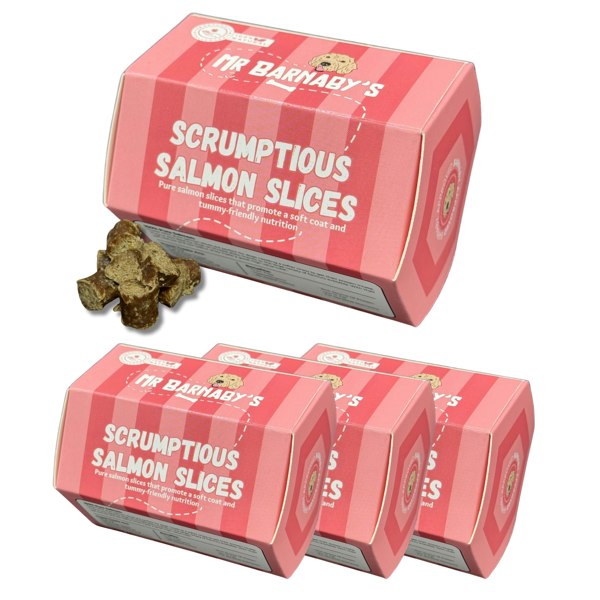 Mr Barnaby's Scrumptious Salmon Slices Dog Treats (Pack of 4)