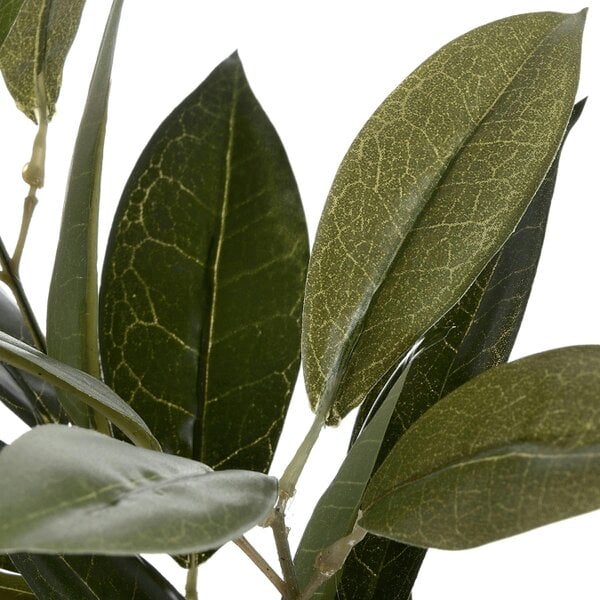 Wyld Haus Set of 3 Artificial Flowers Faux Bay Leaf Sprays