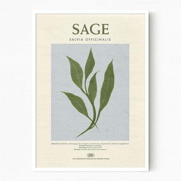 Reign&Hail Sage - Herb Print