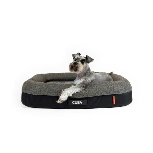 EzyDog Calm Elite Orthopaedic 2 in 1 Design Dog Bed