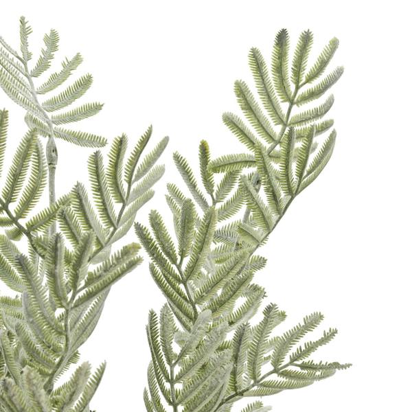Wyld Haus Set of 3 Artificial Flowers Silver Wattle Leaf Stems