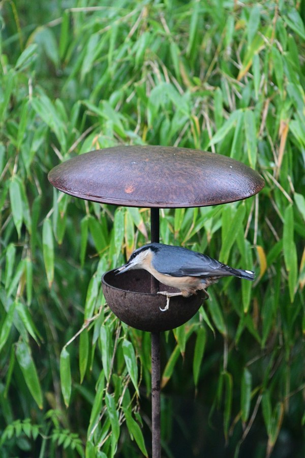 metal bird feeder