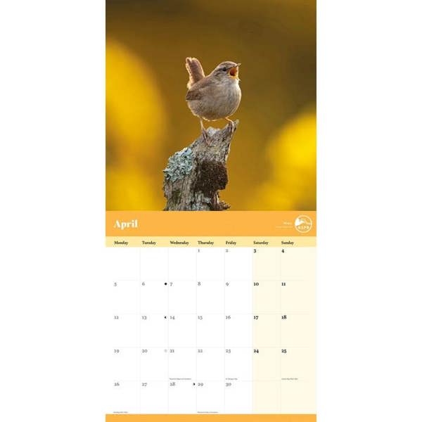 RSPB, Garden Birds Calendar 2027, Wall Calendars, Month To View, Animals, Gift