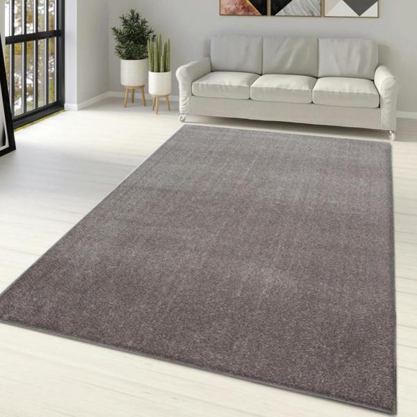 Viva Rugs Plain Beige Rug Modern Soft Carpet Large XL Small  Living Room Bedroom Area Floor Mats