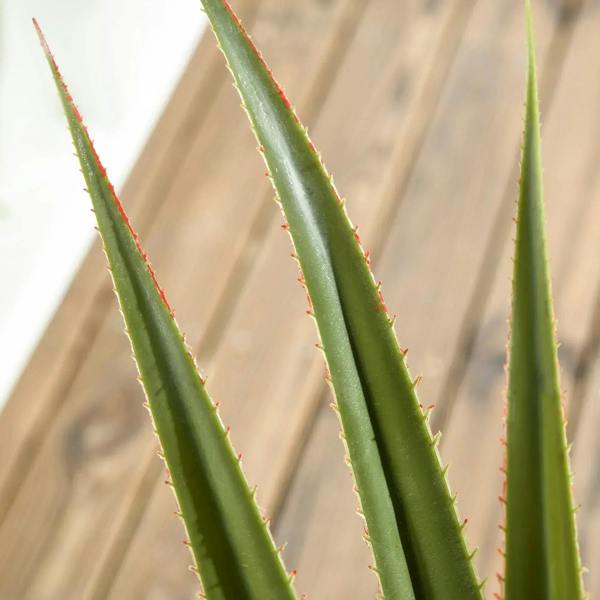 Artificial agave succulent close-up, green leaf trunks with red spine tips