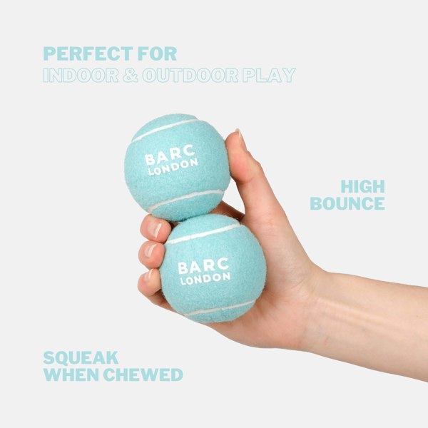 Barc London Blue Dog Ball
