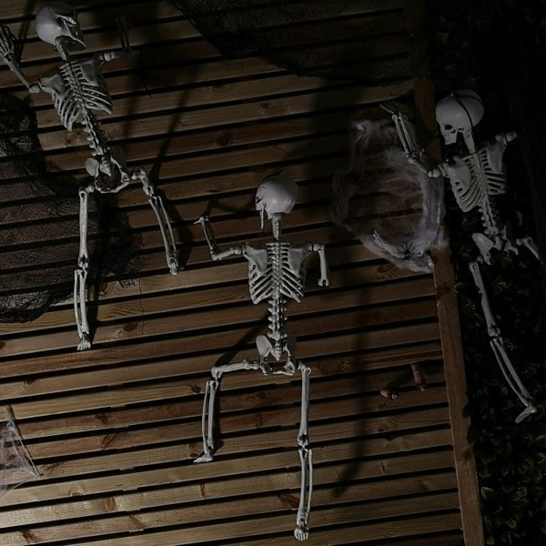 Samuel Alexander 90cm (3ft) Posable Full Body Halloween Skeleton Decoration with Movable Joints