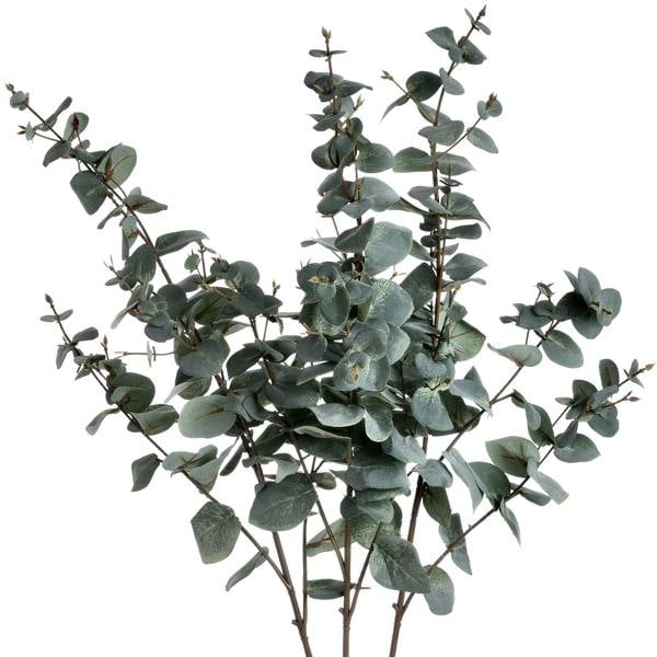 Wyld Haus Set of 3 Artificial Flowers Variegated Eucalyptus Stems
