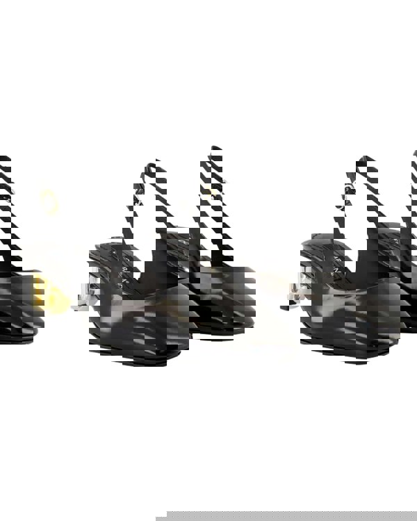 221447080.jpg