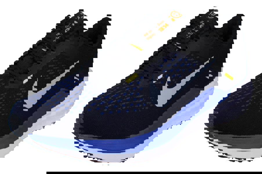 Nike Air Winflo 10 Mens Dv4022  005 - Black Wolf Grey Racer Blue 005 - Photo 0