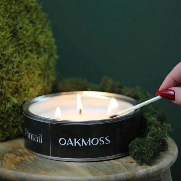 Rich, deep woods combing for an autumnal fragrance