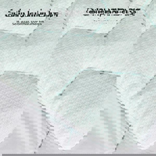 Lavio Mattress Topper Pillowtop Memory Foam Cover Bed Protector King King