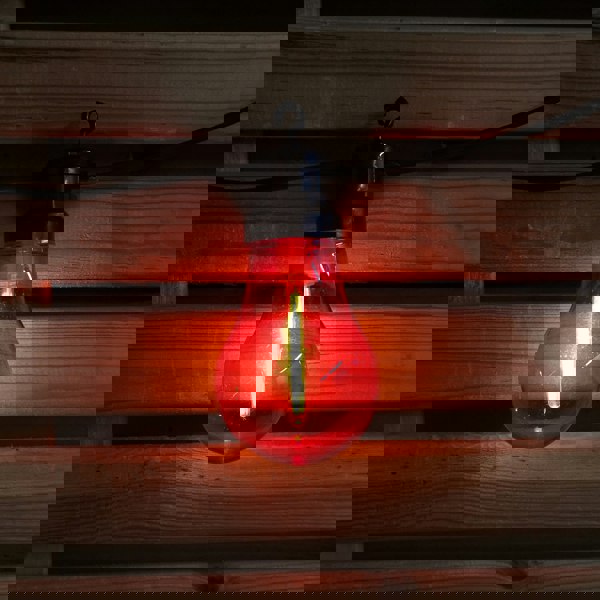 Samuel Alexander 4.5m Set of 10 Connectable Festoon Bulb Lights in Multi-Coloured with Timer Function