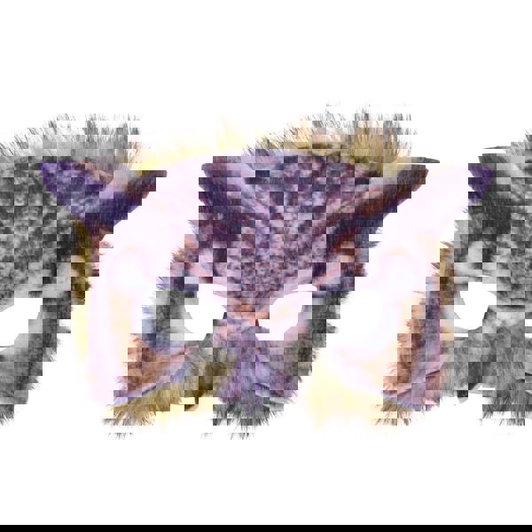 Bristol Novelty Unisex Faux Fur Owl Eye Mask - Brown - 