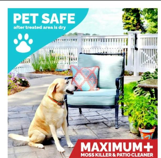 Best patio cleaner 