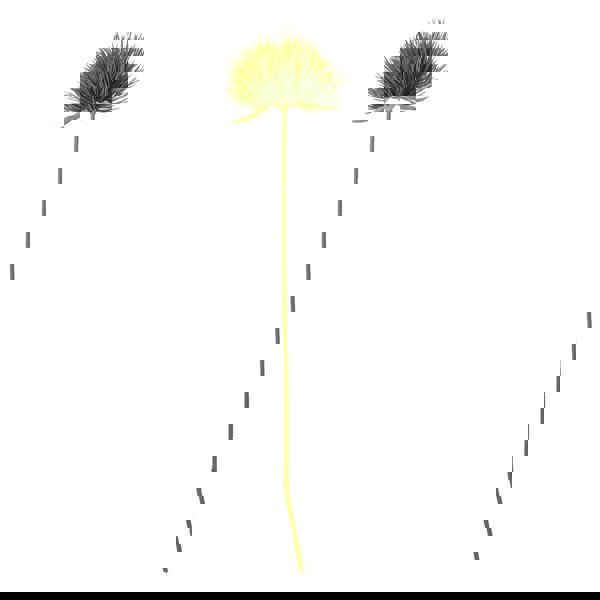 Hill Interiors Moss Stem Artificial Flower - Green