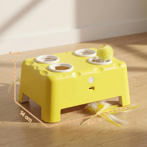 Cat Toys