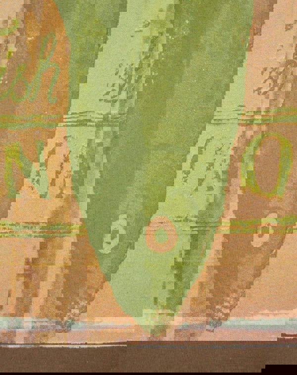 Boxtrolls Womens Brown Fish Short Sleeved T-Shirt