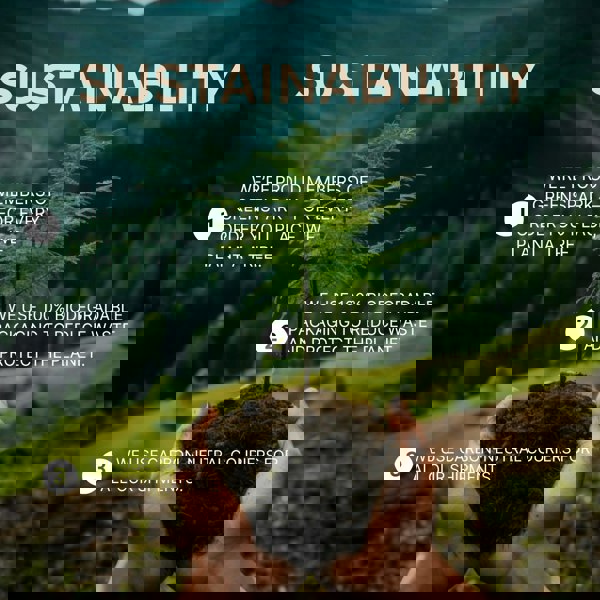 HazelHex Briquettes 10kg Pallet