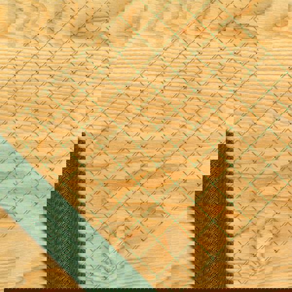 St Helens Garden Netting, coverage 6.8sqm